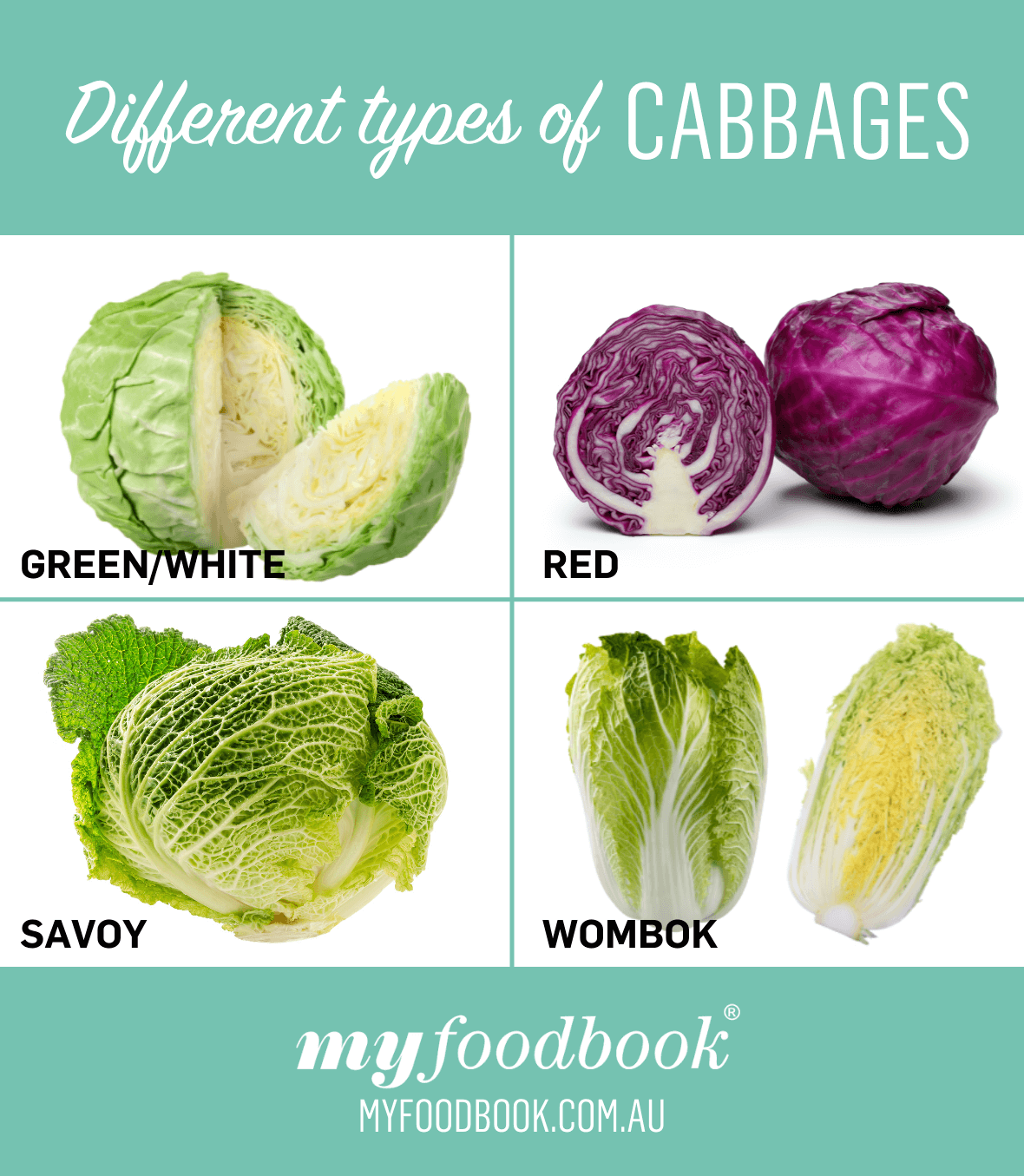 Types of Cabbage