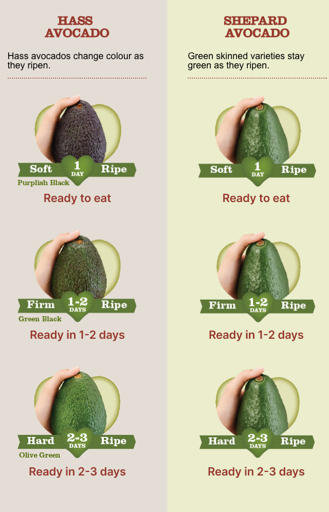 How to tell if an avocado is ripe How to tell if an avocado is ripe