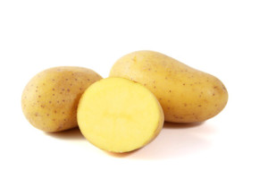 Nicola Potato