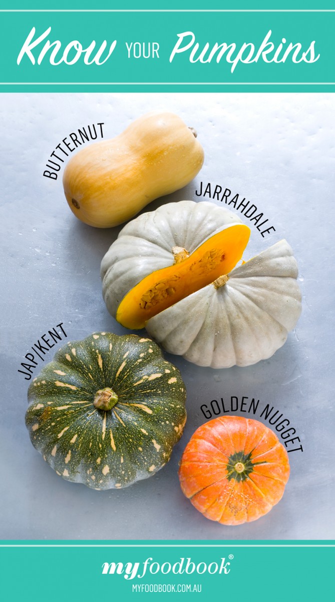 Different types of Pumpkin Different types of Pumpkin
