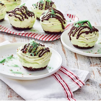 Choc-Mint Ice-Cream Cakes
