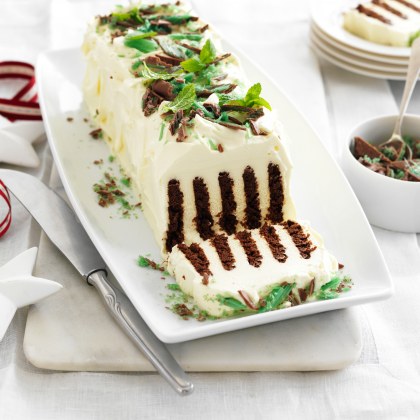 Chocolate mint ripple cake