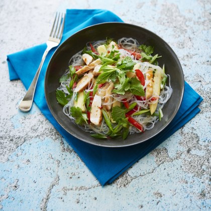 ZOOSH Light Lunch Asian Chicken and Corn Salad