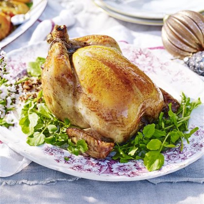Stout-Glazed Chicken with Quinoa and Nut Stuffing