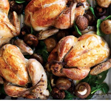 Mushroom & Craisin Stuffed Spatchcock