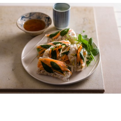 Fresh Turkey Rice Paper Rolls