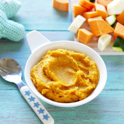 Sweet Potato and Roast Vegetable Puree
