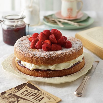 Jam and Cream Victorian Tea Cake