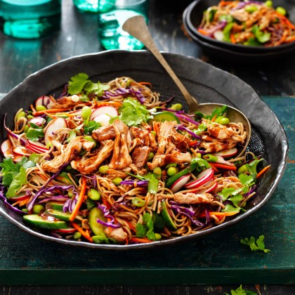Slow Cooker Hoisin and Garlic Chicken Noodle Salad