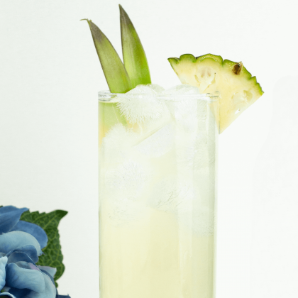 Fresh Fruit Soda Mocktail