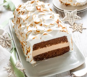 Christmas Gingerbread Bombe Alaska