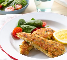 Crunchy Chicken Strips