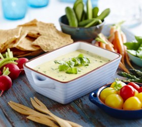 Warm Mexican Cheddar and Coriander Dip