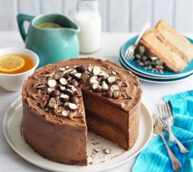 Malted Milk Cake with Malted Frosting