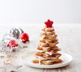 Gingerbread Star Trees