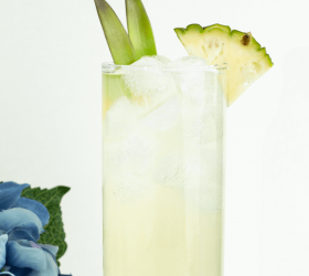 Fresh Fruit Soda Mocktail Fresh Fruit Soda Mocktail