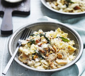 Healthy Creamy Mushroom Pasta Sauce Healthy Creamy Mushroom Pasta Sauce