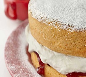 Gluten free feather light sponge