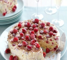 Raspberry, Meringue & Chocolate Ice-Cream Cake
