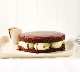 Chocolate and Pistachio Ice Cream Cake with Hot Chocolate Sauce