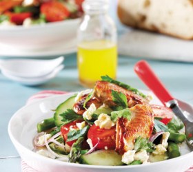 Orange Caramelised Breast of Quail with Salad of Cherry Tomatoes Cucumber Fetta Spanish Onion and Parsley Orange Caramelised Breast of Quail with Salad of Cherry Tomatoes Cucumber Fetta Spanish Onion and Parsley