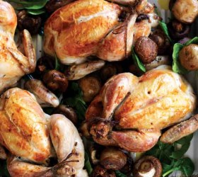 Mushroom & Craisin Stuffed Spatchcock Mushroom & Craisin Stuffed Spatchcock