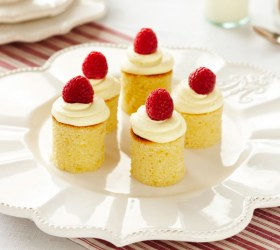 Tiny White Chocolate and Raspberry Mudcakes