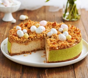 Baked Vanilla Spice Cheesecake with Coconut Topping Baked Vanilla Spice Cheesecake with Coconut Topping