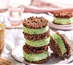 Choc-Mint Crackle Ice-Cream Sandwiches Choc-Mint Crackle Ice-Cream Sandwiches