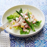 ZOOSH Light Lunch Ham and Egg Salad