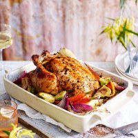 Kombucha and Green Tea Chicken with Roasted Vegetables