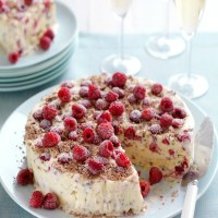 Raspberry, Meringue & Chocolate Ice-Cream Cake