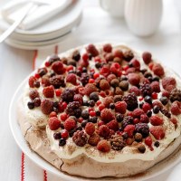 Mixed Berry & Chocolate Mousse Pavlova