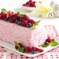 Frozen Ice Cream Log