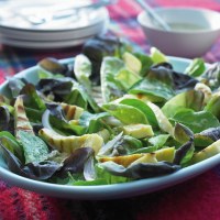 Lemon Dressed Salad with Haloumi