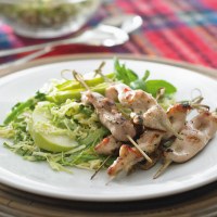 Marinated Chicken and Green Slaw