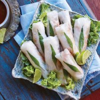 Duck Rice Paper Rolls with Asian Dipping Sauce