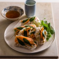 Fresh Turkey Rice Paper Rolls