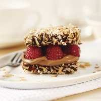 Deluxe Raspberry Chocolate Lamingtons