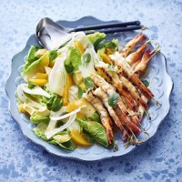 Prawn and Fennel Salad
