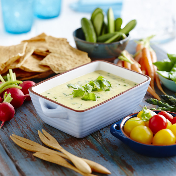 Warm Mexican Cheddar and Coriander Dip