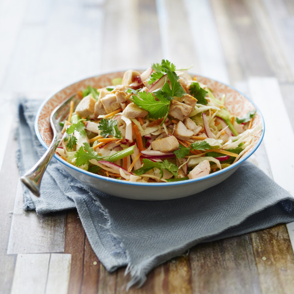 ZOOSH Light Lunch Chicken and Mango Coleslaw Salad