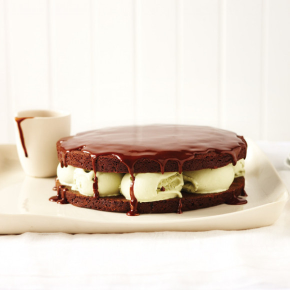 Chocolate and Pistachio Ice Cream Cake with Hot Chocolate Sauce