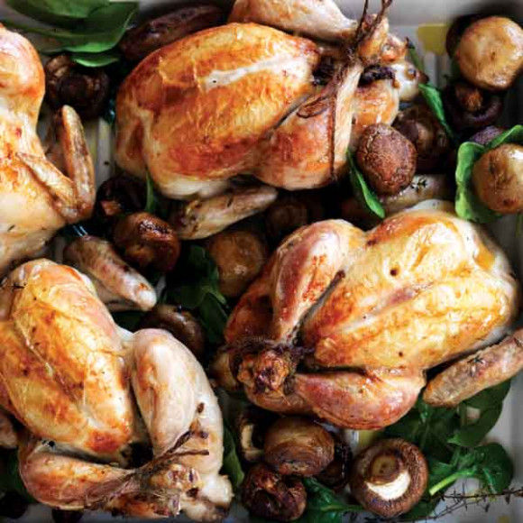 Mushroom & Craisin Stuffed Spatchcock