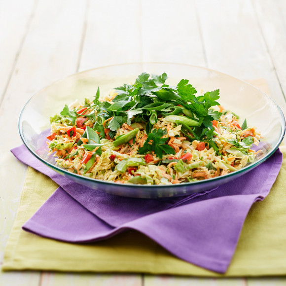 ZOOSH Best Ever Coleslaw