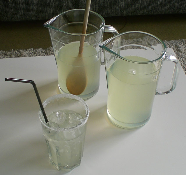 Rezept für hausgemachte Zitronenlimo, homemade Lemonade