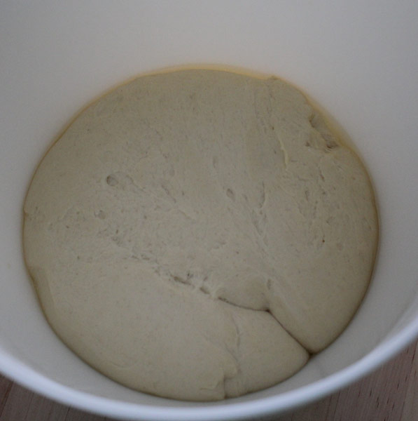 aufgegangener Hefeteig für amerikanisches Weißbrot / Toastbrot