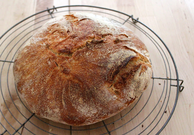 ein frischer Laib Brot kühlt nach dem Backen aus