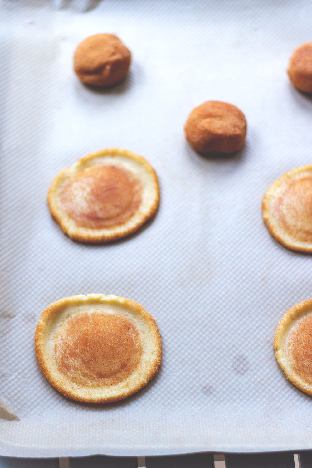 Rezept für leckere Snickerdoodles | amerikanische Cookies | perfekte Weihnachtsplätzchen | moeyskitchen.com #snickerdoodles #cookies #kekse #weihnachtsplätzchen #foodblogger #rezepte