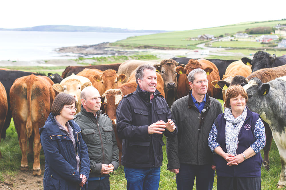 Irland-Rundreise mit Kerrygold, Bord Bia und Tourism Ireland: Bulman Pub in Kinsale und Rinderfarm in Old Head